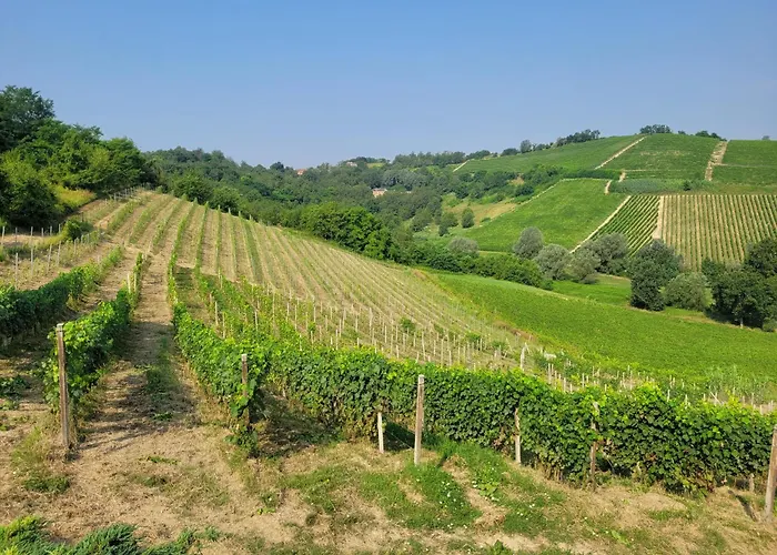 Cascina Allegria Апартаменты Castelnuovo (Asti)